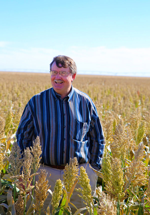 Earl Roemer Sorghum Field