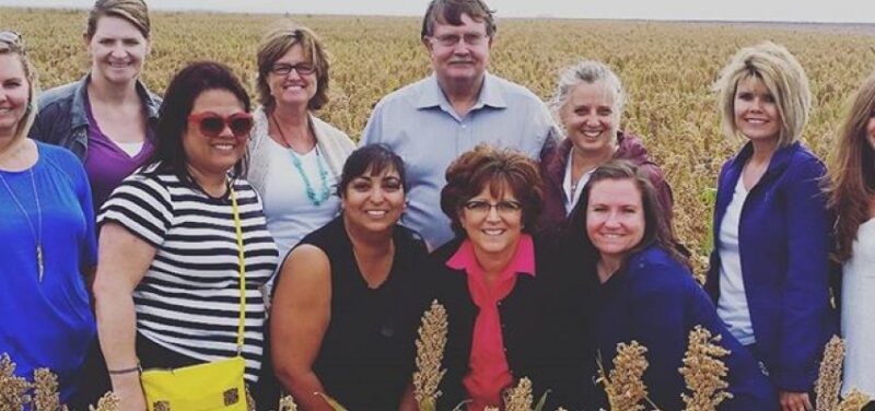 Sorghum Farm Tour