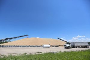 Grain Surplus