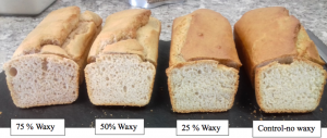 Gluten Free Waxy Sorghum Bread