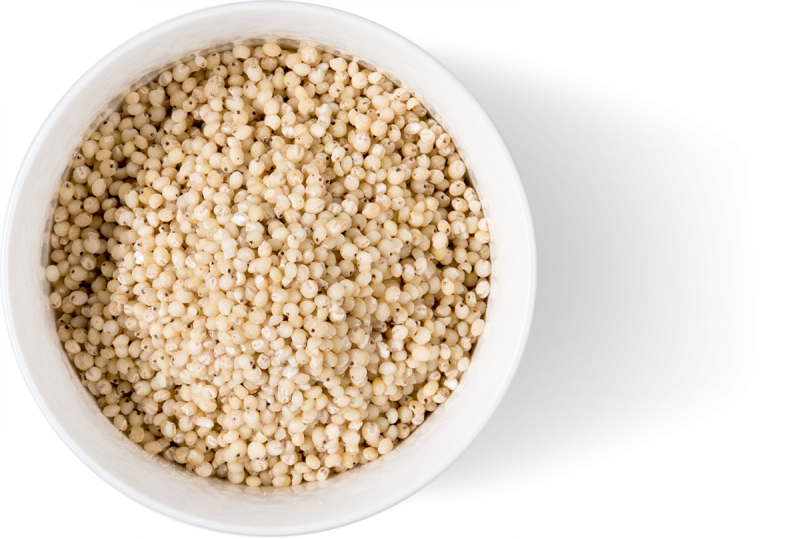 Gluten Free Pearled Sorghum Grain