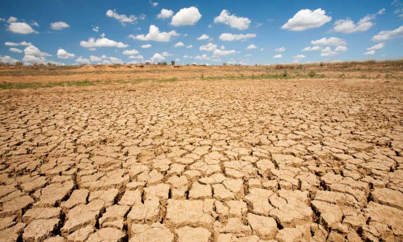 Dry, Cracked Landscape with Blue Sky