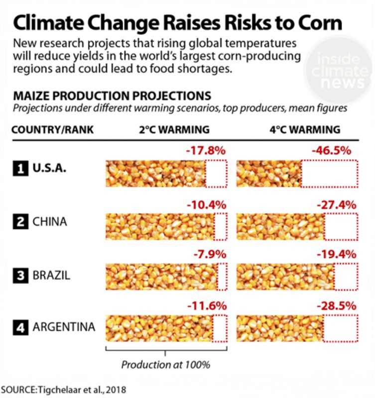 Climate Change Graphic