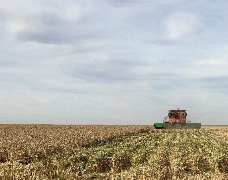 Combine in Field