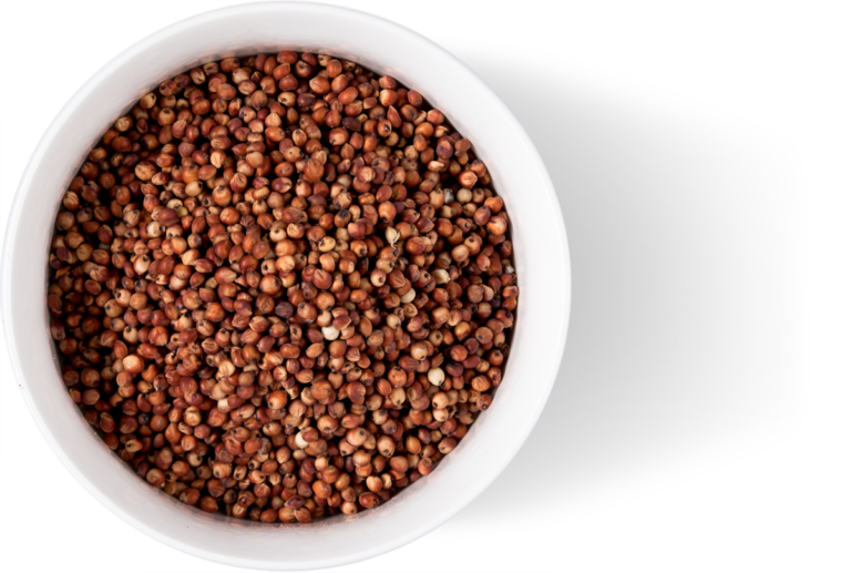 Bowl Burgundy Whole Sorghum Grain