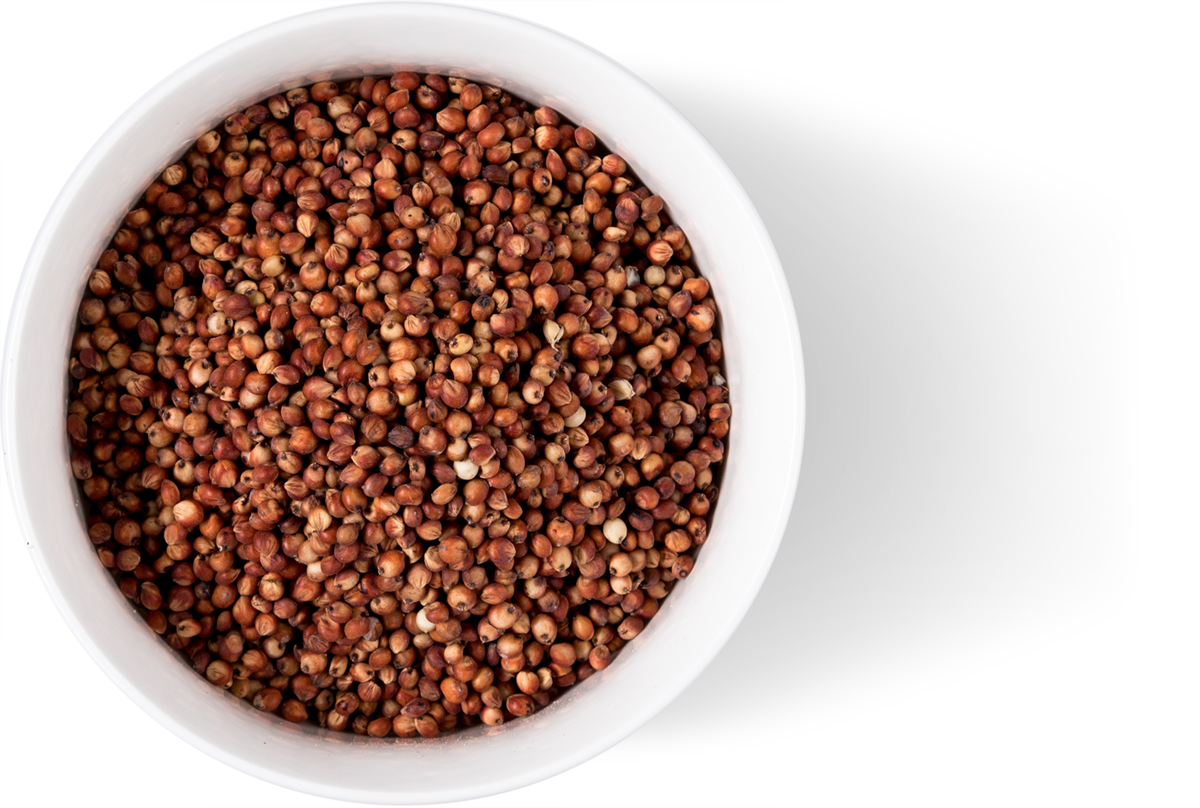 Bowl Burgundy Whole Sorghum Grain