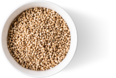 Bowl Organic White Whole Sorghum Grain