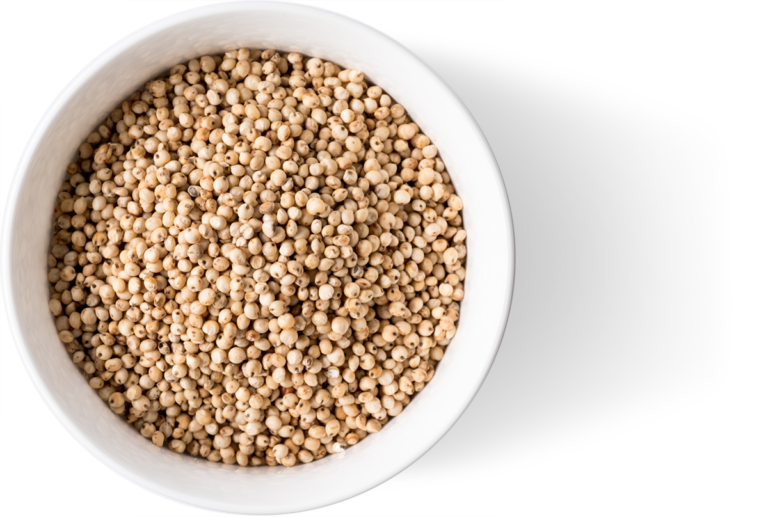 Bowl Organic White Whole Sorghum Grain