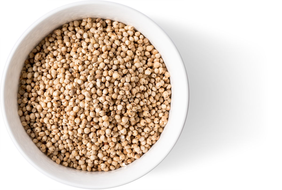 Bowl Organic White Whole Sorghum Grain