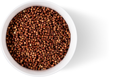 Bowl Toasted Burgundy Whole Sorghum Grain