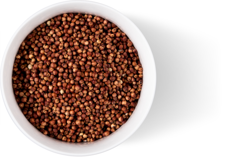 Bowl Toasted Burgundy Whole Sorghum Grain