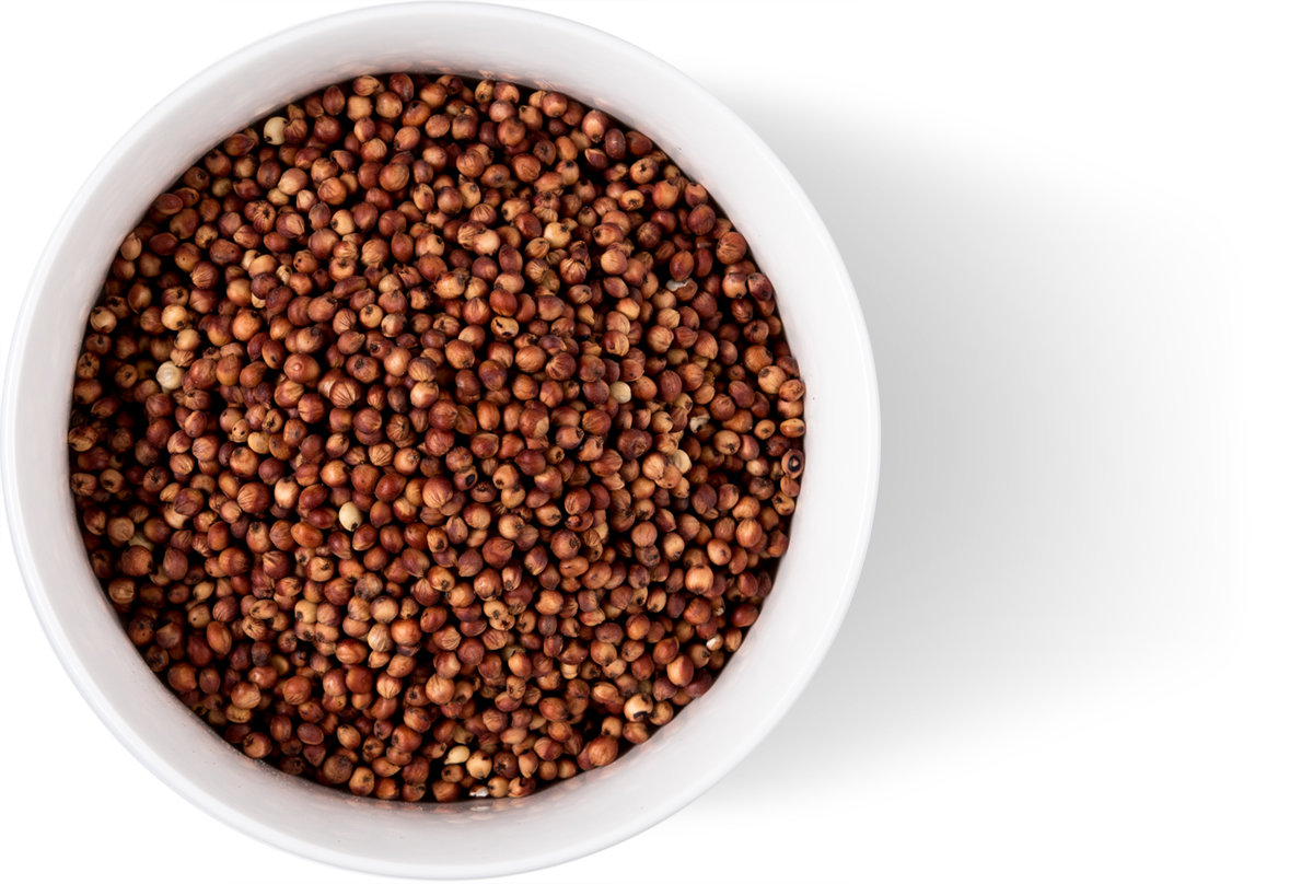 Bowl Toasted Burgundy Whole Sorghum Grain