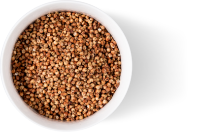 Bowl Waxy Burgundy Sorghum Grain