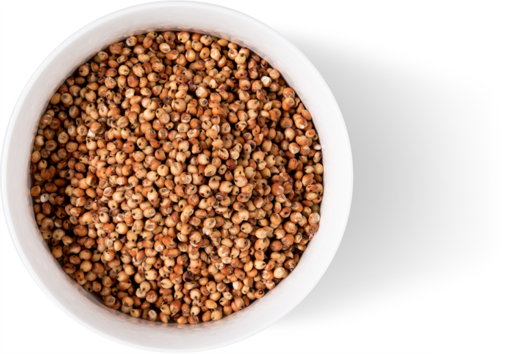 Bowl Waxy Burgundy Sorghum Grain