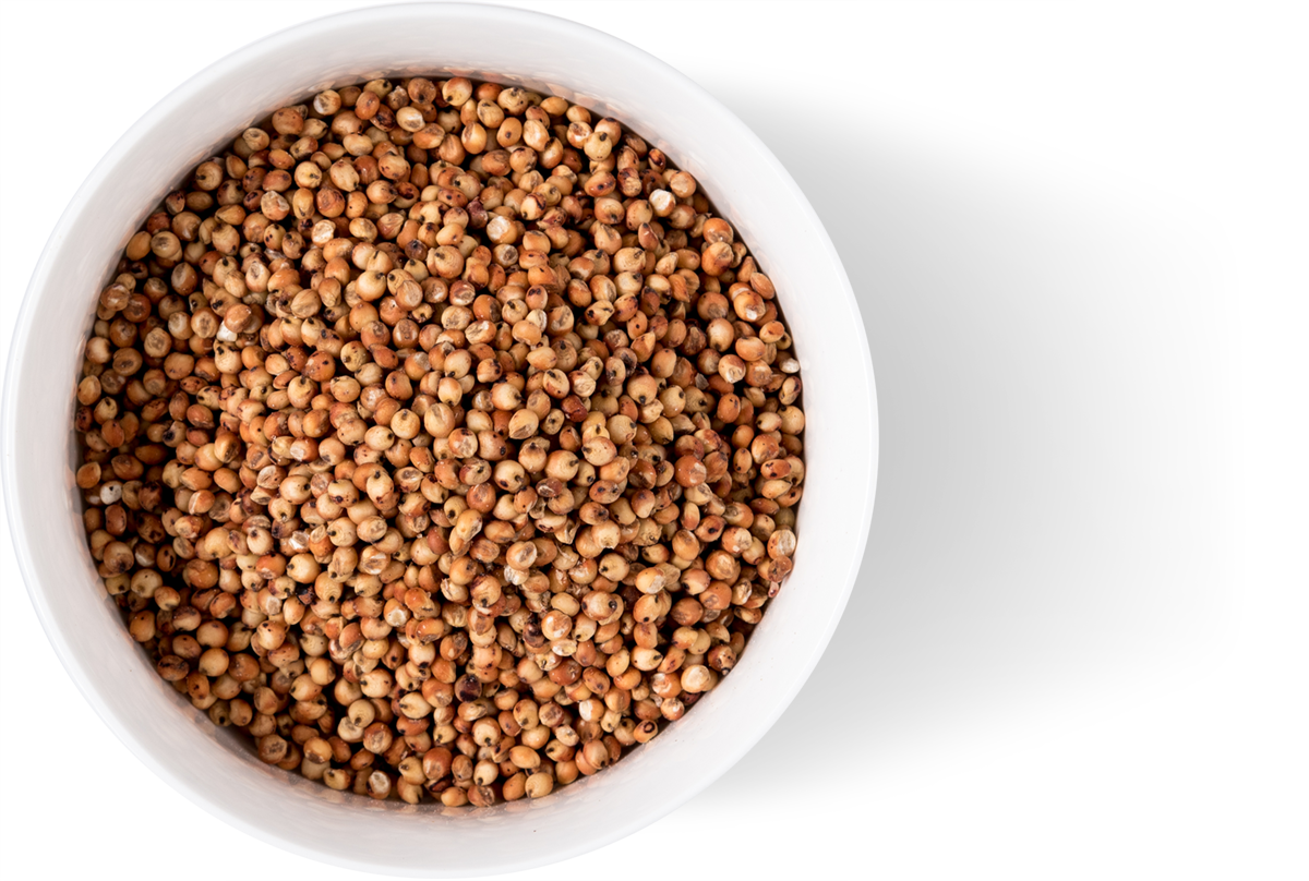 Bowl Waxy Burgundy Sorghum Grain