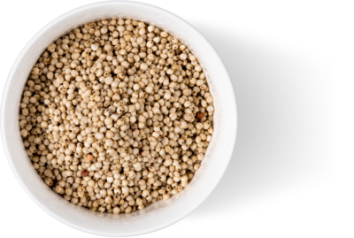Bowl White Whole Sorghum Grain