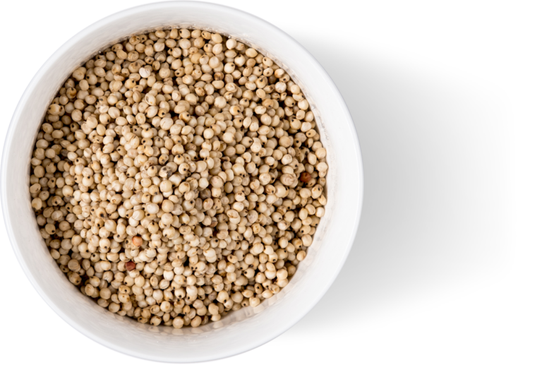 Bowl White Whole Sorghum Grain