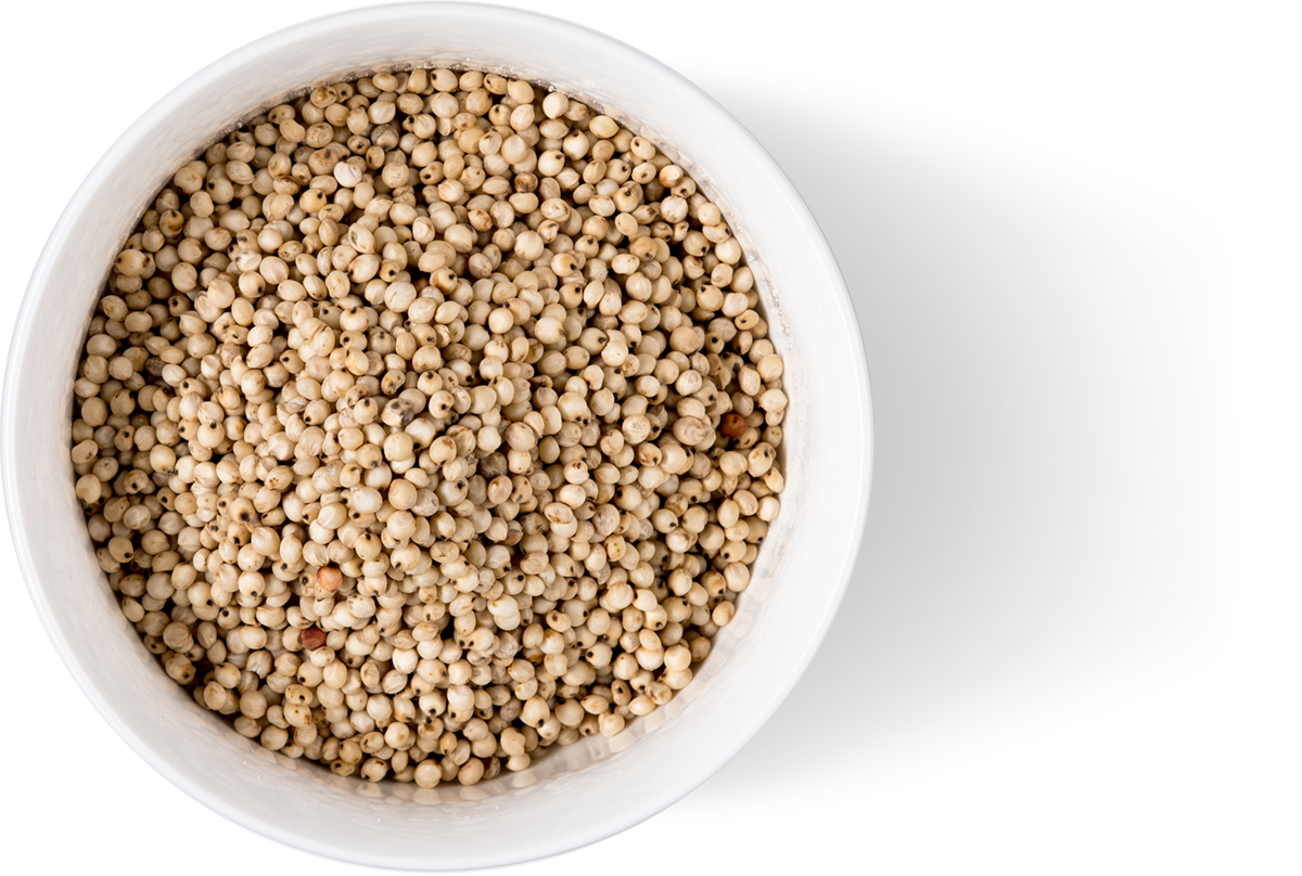 Bowl White Whole Sorghum Grain