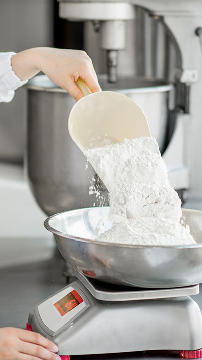 Commercial Flour Mill Infrastructure