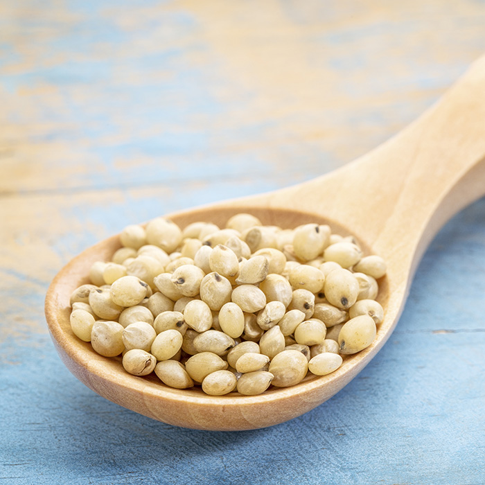 Discover Sorghum