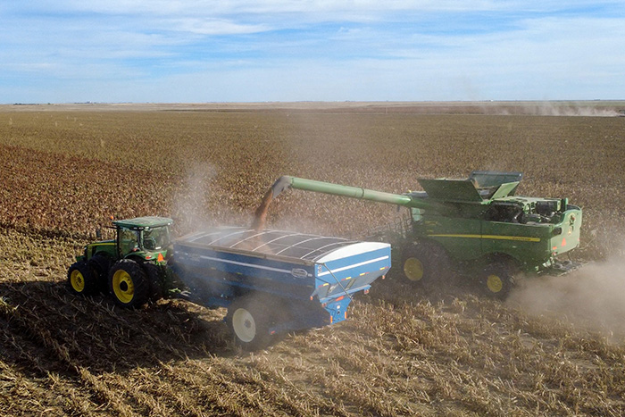 Sorghum Sustainable Crop